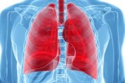 Idén is lesz lakossági tüdőszűrés Budakalászon