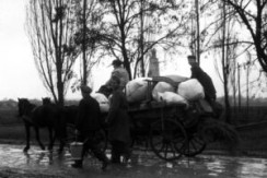 75 éve volt a kitelepítés Budakalászon: batyuk között, Makk atya áldásával indultak