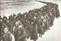 Emlékezzünk közösen a Don-kanyari katasztrófára!