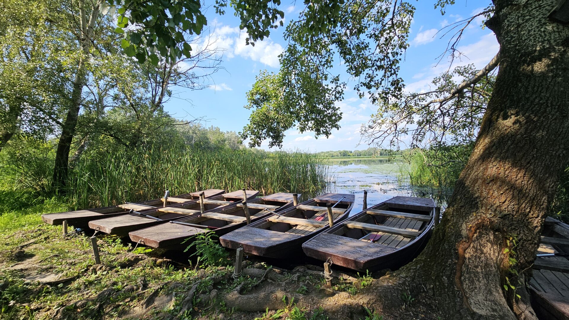 VII. Vízkonferencia