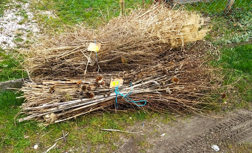 kotegelt-agak kotegelt agak