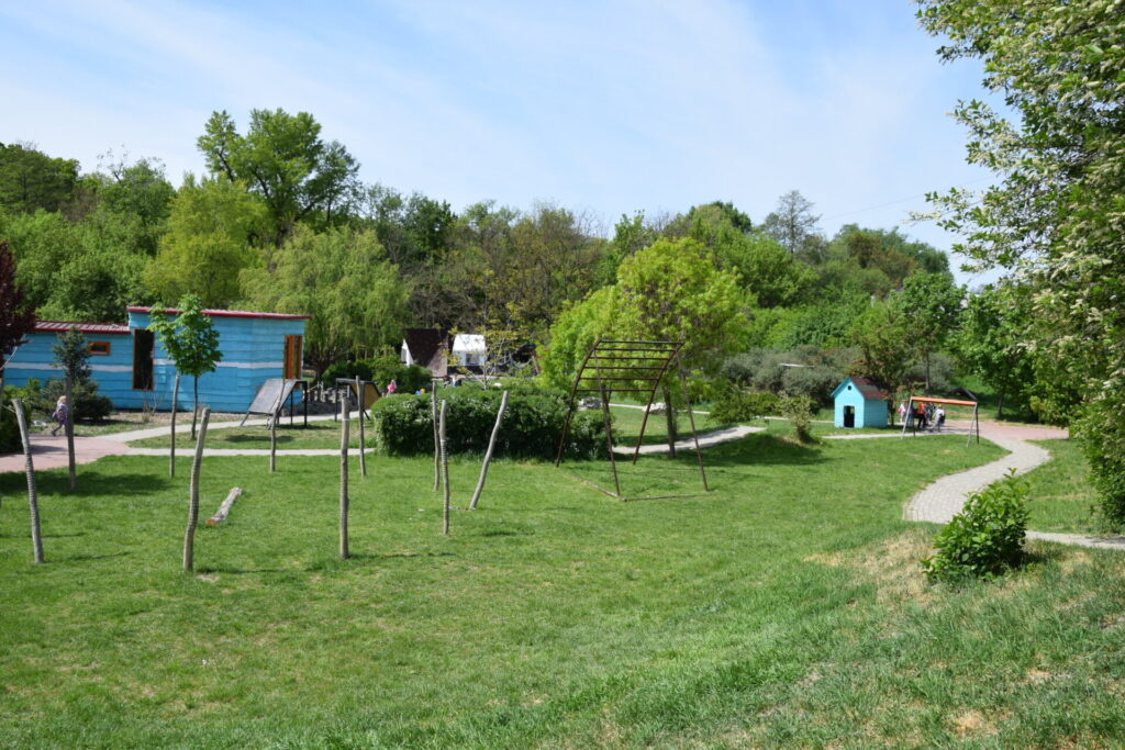 Vissza a Vadonba