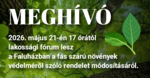 fásfórum fekvő