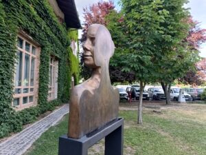 IMG 20260617 181625133 HDR