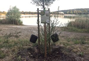 Locsoljunk és vacsorázzunk együtt ma este az Omszk parkban!